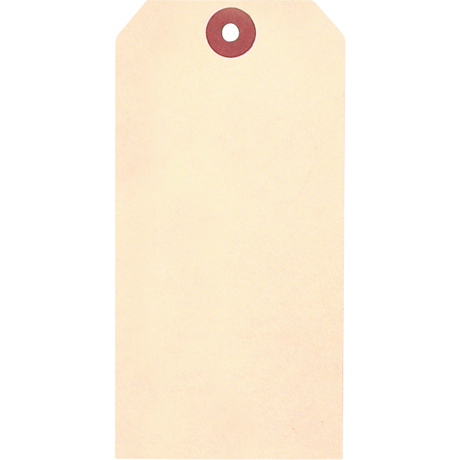 Accuform Signs Manila Blank Tags, Cardstock, 1-7/8" W x 3-3/4" H