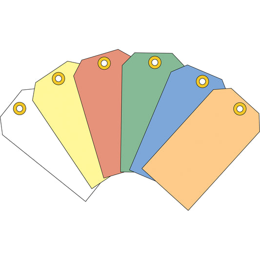  Coloured Blank Tags, Cardstock, 2-5/8" W x 5-1/4" H