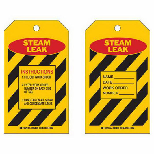 Brady "Steam Leak" Inspection Tags, Polyester, 4" W x 7" H, English