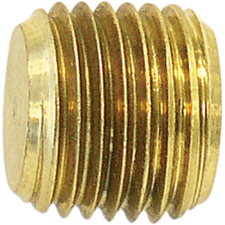 Pipe Plug (Counter Sunk Hex Head), 1/4" Dia., Brass