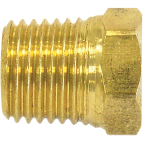 Pipe Plug (Hex Head), 1/8" Dia., Brass