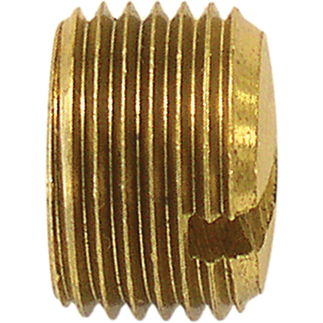 Pipe Plug (Slotted), 1/8" Dia., Brass