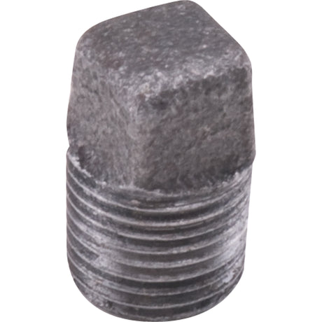 Plug Square Head Cored