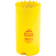 Bi-Metal Holesaw - 1-1/4", 1-1/4", 2" Depth of Cut, Bi-Metal