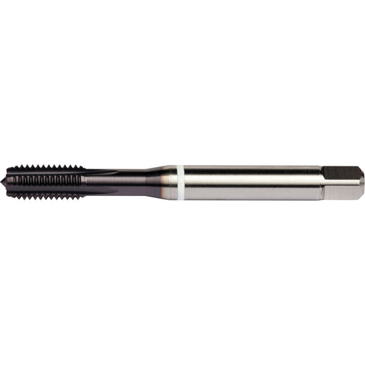 White Shark Straight Flute Tap, High Speed Cobalt, 3/8"-16 Thread