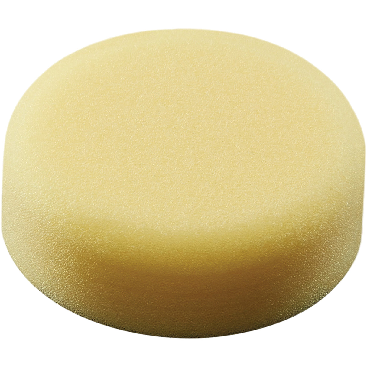 Polishing Pad, 3" Dia.