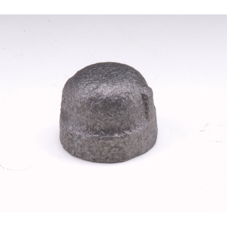 Cap, 1/4", Malleable Iron