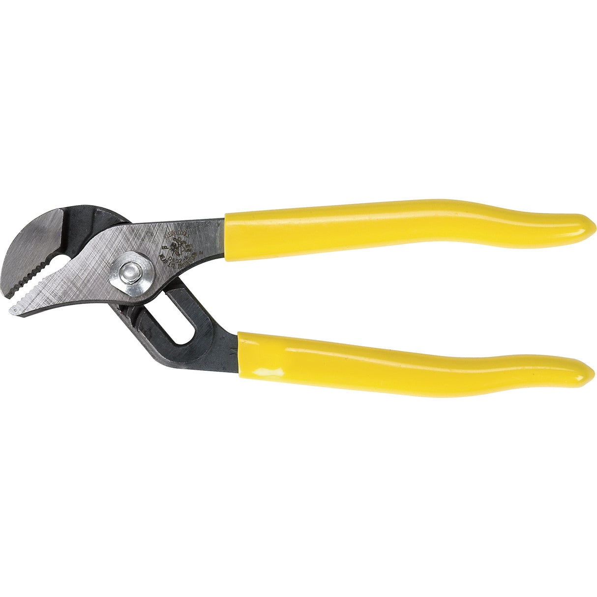 Groove Joint Pliers, 10"