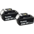 Batteries, Lithium-Ion, 18 V, 5.0 A