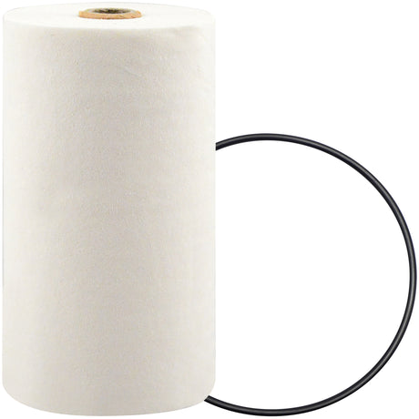 P7247 Spin-On Coolant Filter with BTE Formula