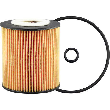 P7313 Lube Filter Element