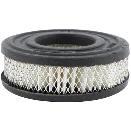 PA1909 Air Breather Element