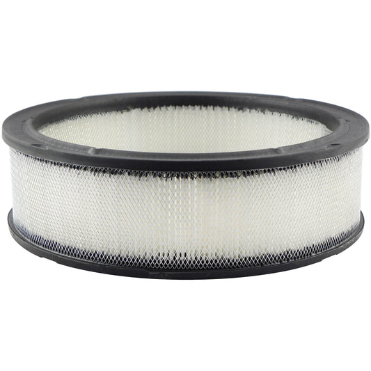 PA2106 Air Element with Foam Wrap