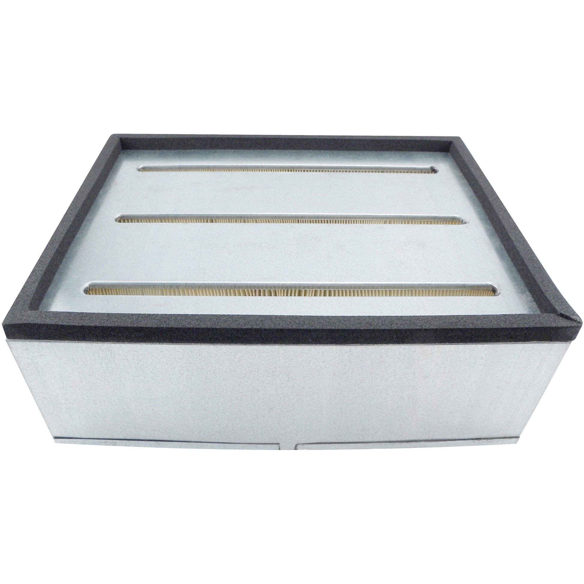PA2450 DynaCell Panel Air Element