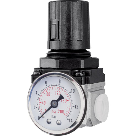 Air Regulator (Gauge Included), 3/8" NPT, 220 PSI Max. PSI, Modular