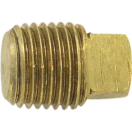 Pipe Plugs (Square Head), 1" Dia., Brass