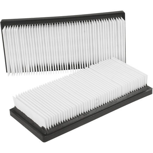 Main Flat Filters, Cartridge, Fits 12 US gal.