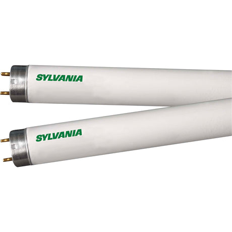 Fluorescent Lamps, 32 W, T8, 4100 K, 48" Long