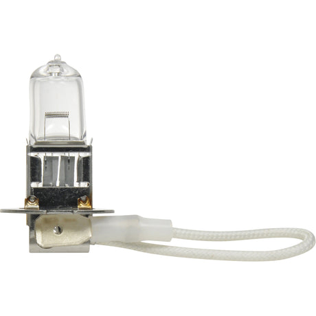 H3 Basic Fog Bulb, Halogen, 70 W, Off White