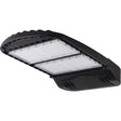 FL4-Series Multi-Mount Flood Light