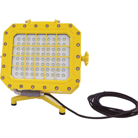 Explosion Proof Floodlight with Floor Stand, LED, 40 W, 5600 Lumens, Aluminum Housing