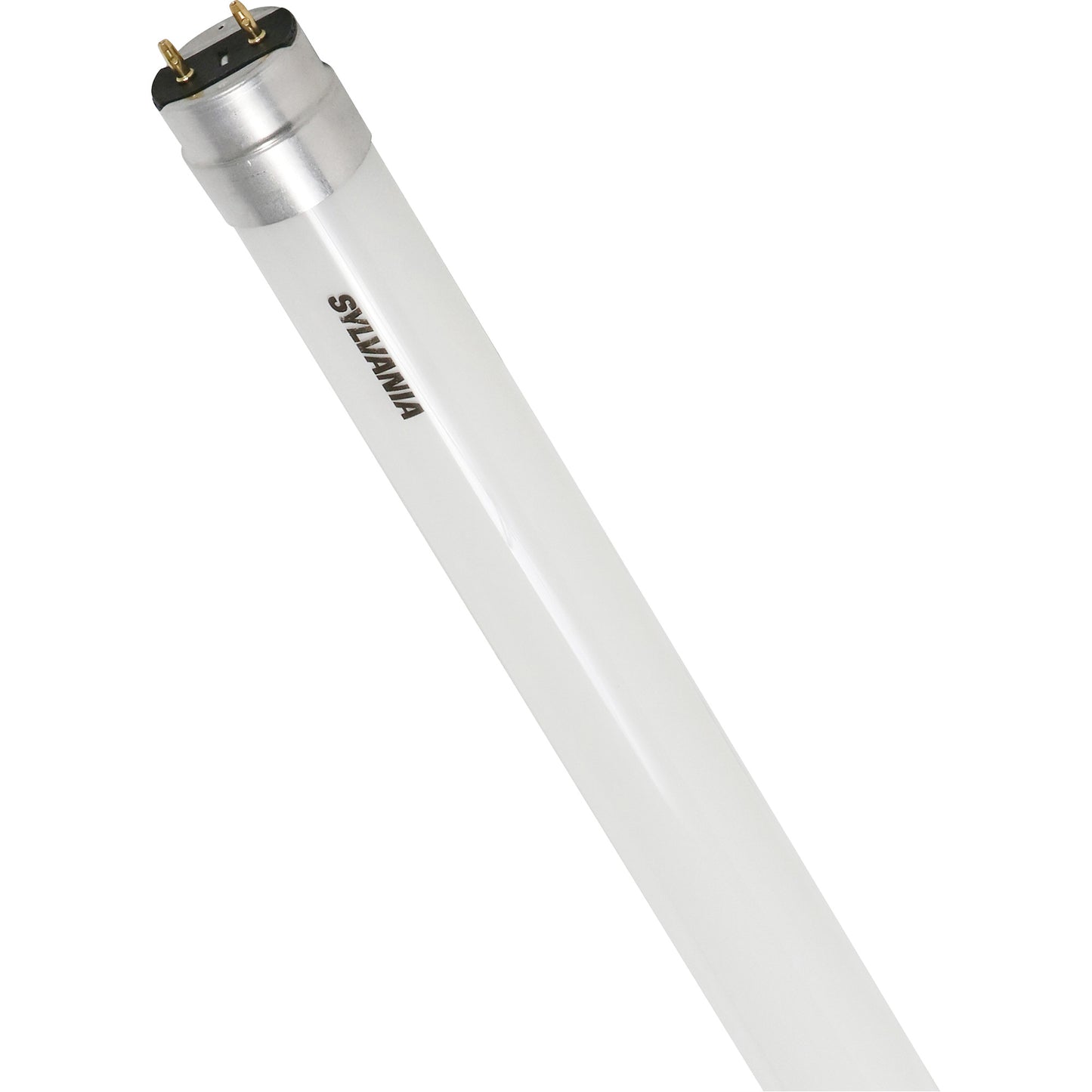 SubstiTUBE® Frosted Glass LED Bulb, 12 W, T8, 5000 K, 48" L