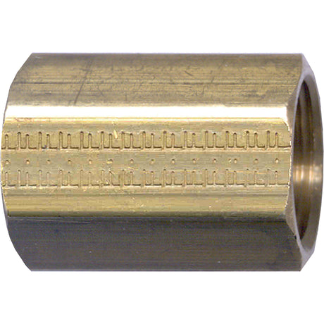 Pipe Coupling, Brass, 3/8"