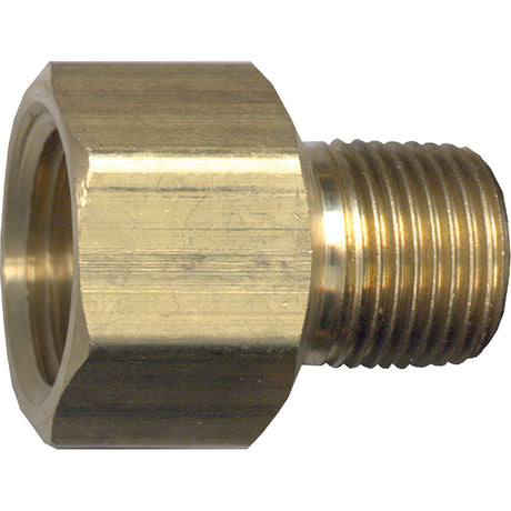 Pipe Adapter, FPT x NPT, 1/2" x 3/8" Dia., Brass