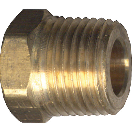 Hex Head Cored Plug, Pipe, 1/8" Dia., Brass