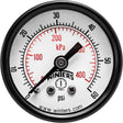 Economy Pressure Gauge, 2" , 0 - 60 psi, Back Mount, Analogue