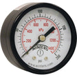 Economy Pressure Gauge, 2" , 0 - 200 psi, Back Mount, Analogue